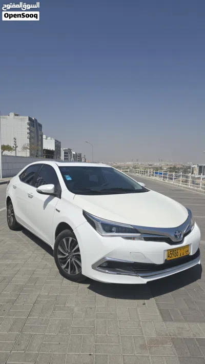 Toyota Corolla SE 3