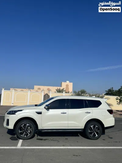 Nissan X-Terra Platinum 2