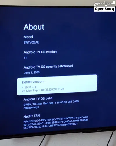 Skyworth Smart Screen 55 inch (Ok Google). شاشة تلفاز ذكية ممتازة اصدار حديث 4