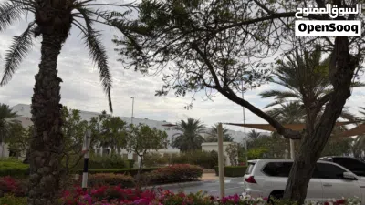 Luxury Townhouse with a Distinctive Design in Al Mouj 2