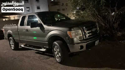 Ford F-150 Standard 4