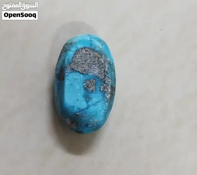 Nishapuri Shajri Feroza 15K in size irani 3
