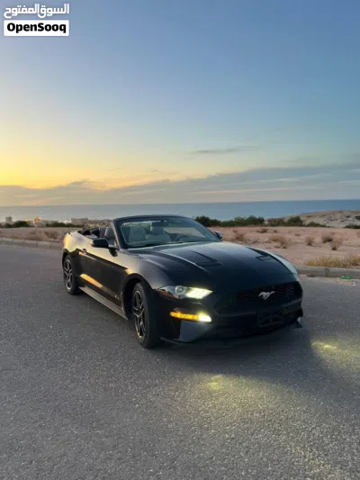 Ford Mustang GT Premium 2