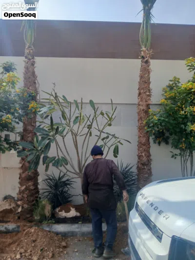undefined 4