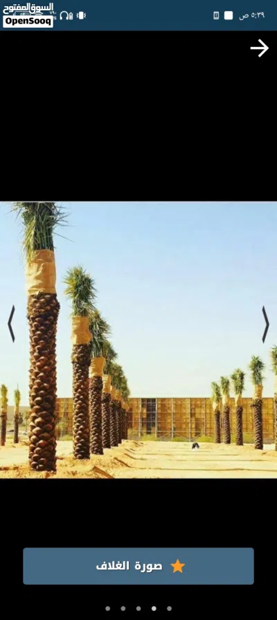 تنسيق حدائق 3