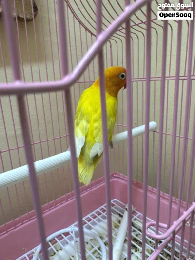 undefined 2