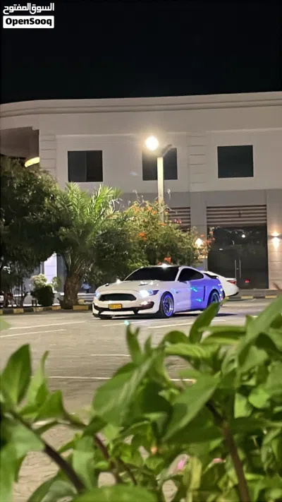 Ford Mustang GT 2
