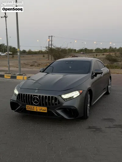 Mercedes Benz CLS-Class CLS 450 3