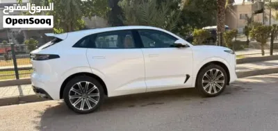شانجان UNI-K Standard 3