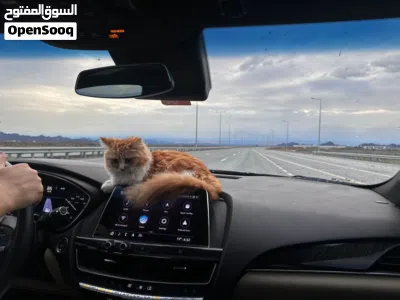 السعر قابل للتفاوض 3