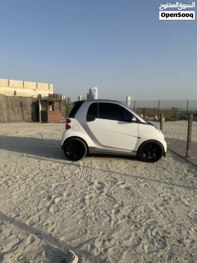 Smart Other 2