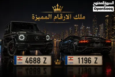 ارقام لوحات مميزة 3