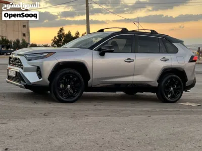 Toyota RAV 4 XSE 3