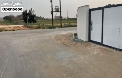 استوديو 50 متر ، على أرض 350 متر ،تبعد 800 متر يمين مثلث القيو ، مقسم أبوزريبة 2