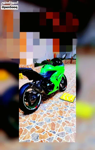 Kawasaki Brute Force 300 2