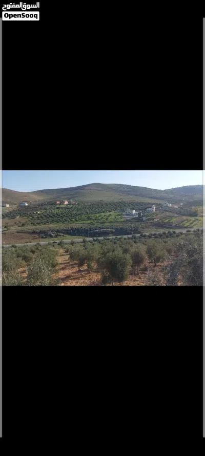 ارض للبيع من المالك مباشرة على شارع بيرين الرئيسي 3