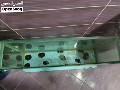 undefined 2