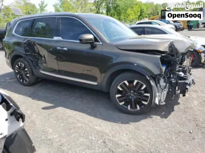 Kia Telluride SX Prestige X-Pro 3