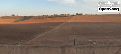 ارض زراعية 10 دنم 3