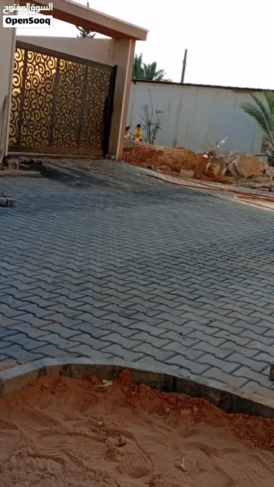 شركه ابوعيطه لتركيب العاشق والمعشوق والبندوره 2