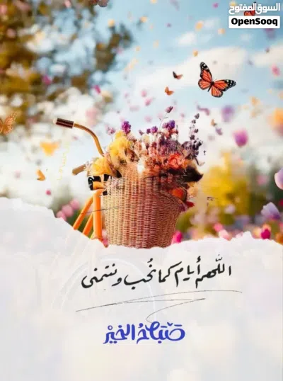 مطلوب شريك تربية حمام 3
