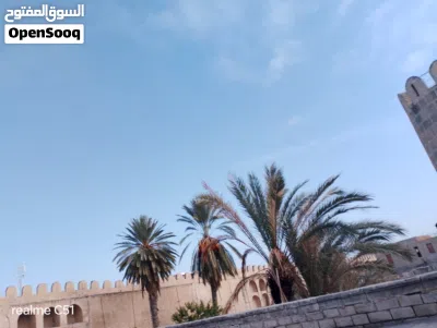 أراضي سكنية وفلاحية للبيع في سوسة منطقة الزاوية والثريات 2