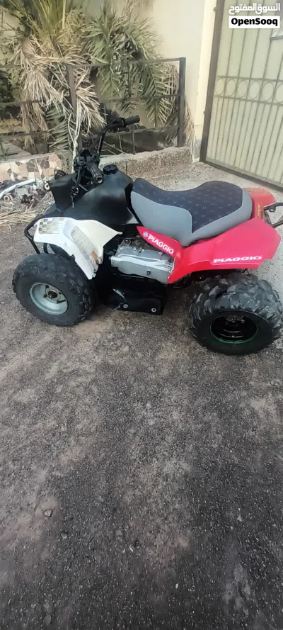 Buggy All Models 4