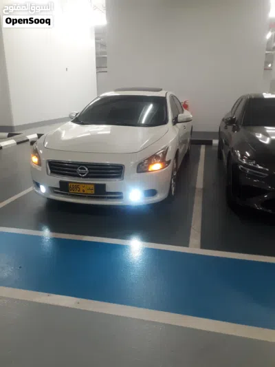 Nissan Maxima SV 3