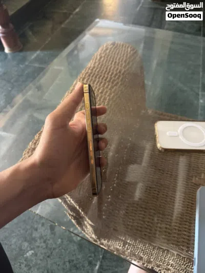 16 برو ماكس مذهب 3