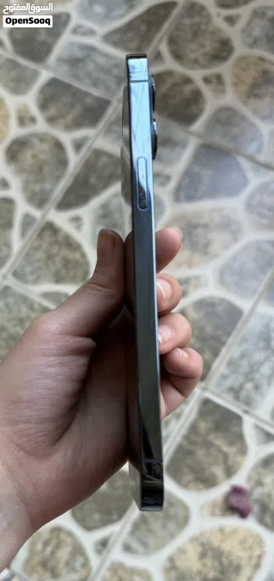 12 pro max 256 gb 3