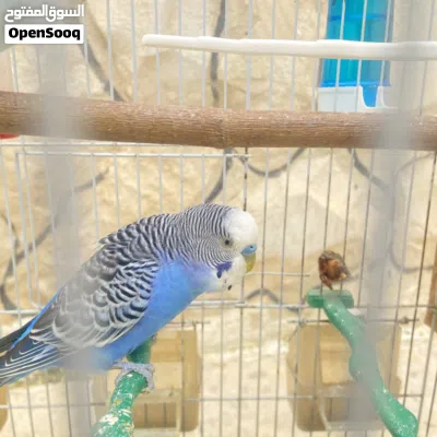 undefined 4