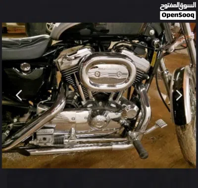 Harley Davidson 1200 Custom 2