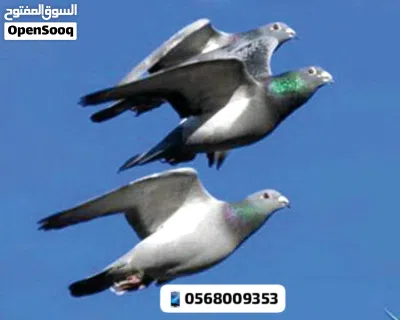 undefined 2