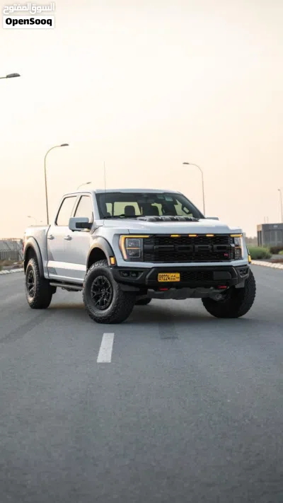Ford F-150 Raptor 3