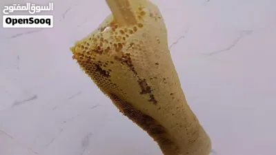 للبيع عسل ابو طويق عماني بشمع مع الحطب ماله 3