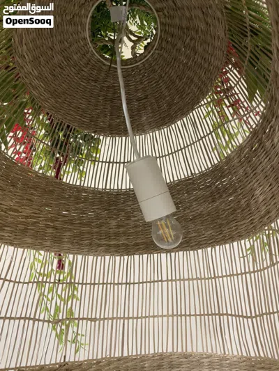 Roof Lights 4