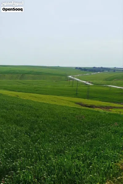 تملك قطعة ارض مناسبه لعمل مزرعة بسعر مغري ام الرصاص رجم عقاب 3