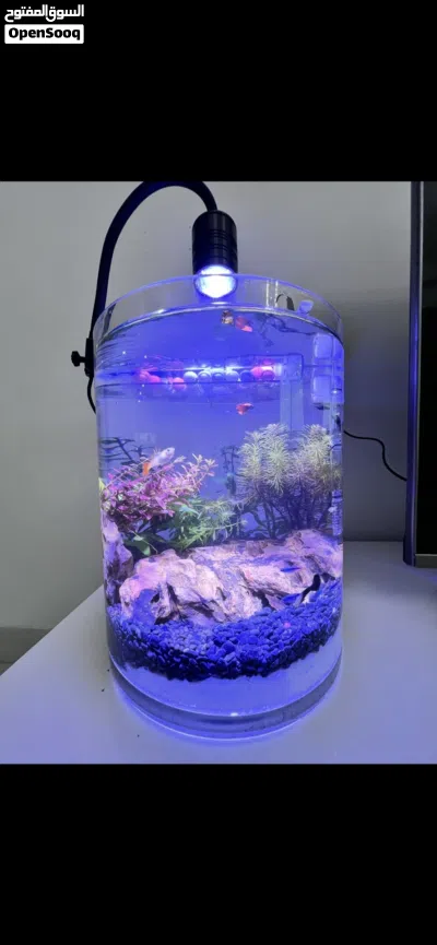 Aquarium 2 Months used URGENT SALE 3