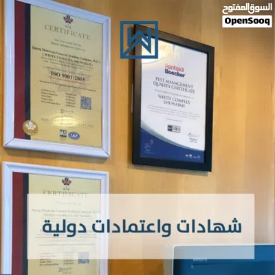 undefined 3