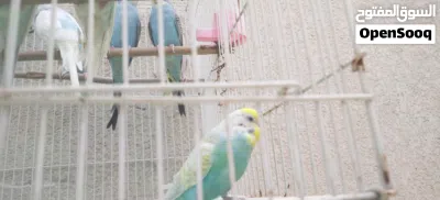undefined 2
