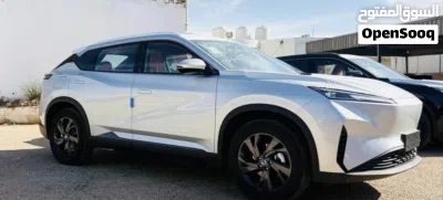 Dongfeng Mage EV 2