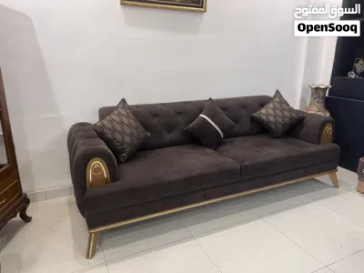 تخم تركي للبيع 3