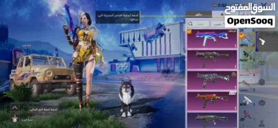 حساب ببجي للبيع 4