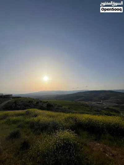 قطعه ارض للبيع في جرش عنيبه وسط احضان الطبيعه الساحره بجانب اسكان المهندسين 2