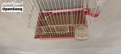 قفص للبيع جديد 4