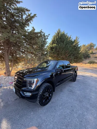 Ford F-150 Lariat 3