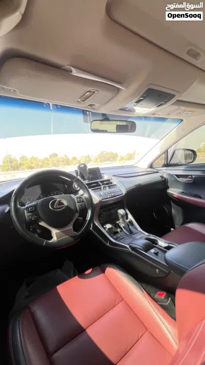 Lexus NX Standard 4