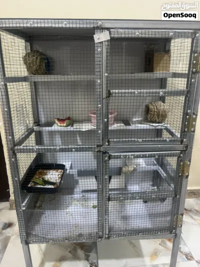 فناجس اثنين نثيه وذكر 4