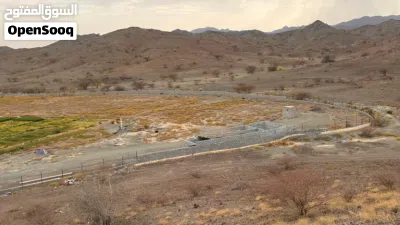 المزرعه في ولاية سمائل 2