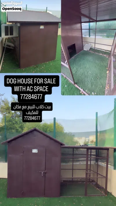 Dog House بيت للكلاب 3
